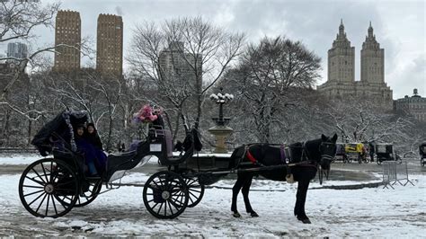 Enjoy free carriage rides at the Empire State Plaza